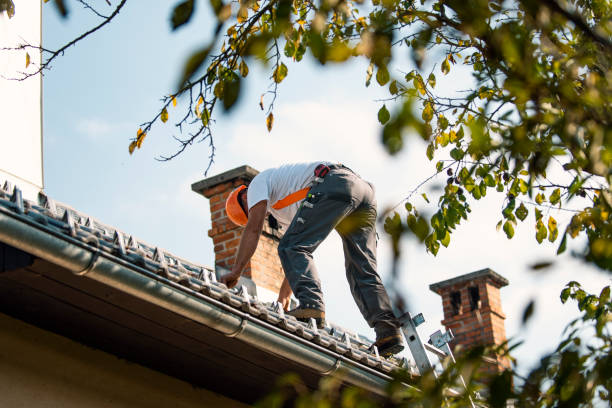 Best Storm Damage Roof Repair  in St Leon, IN
