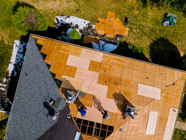 Best Commercial Roofing Services  in St Leon, IN