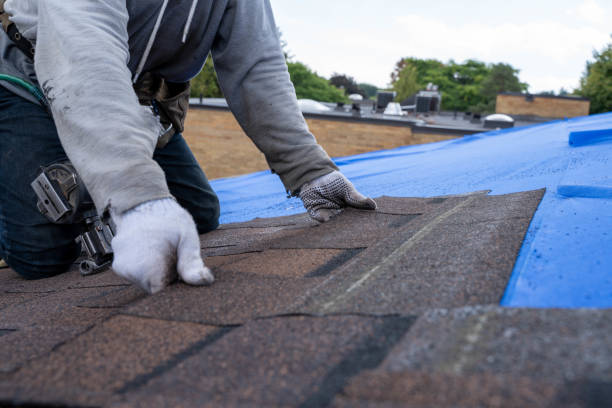 Best Metal Roofing Contractor  in St Leon, IN