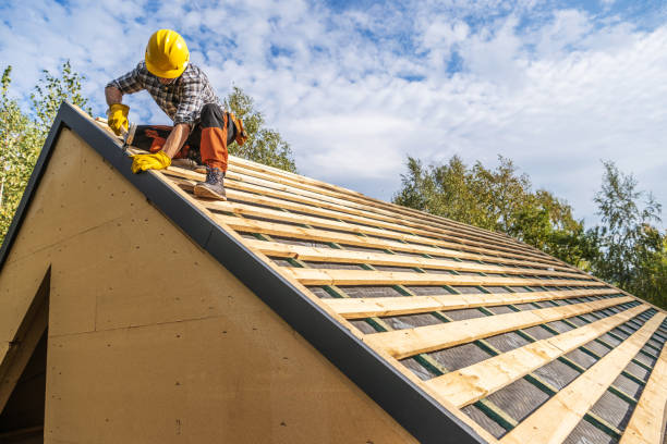 Best Roof Gutter Cleaning  in St Leon, IN